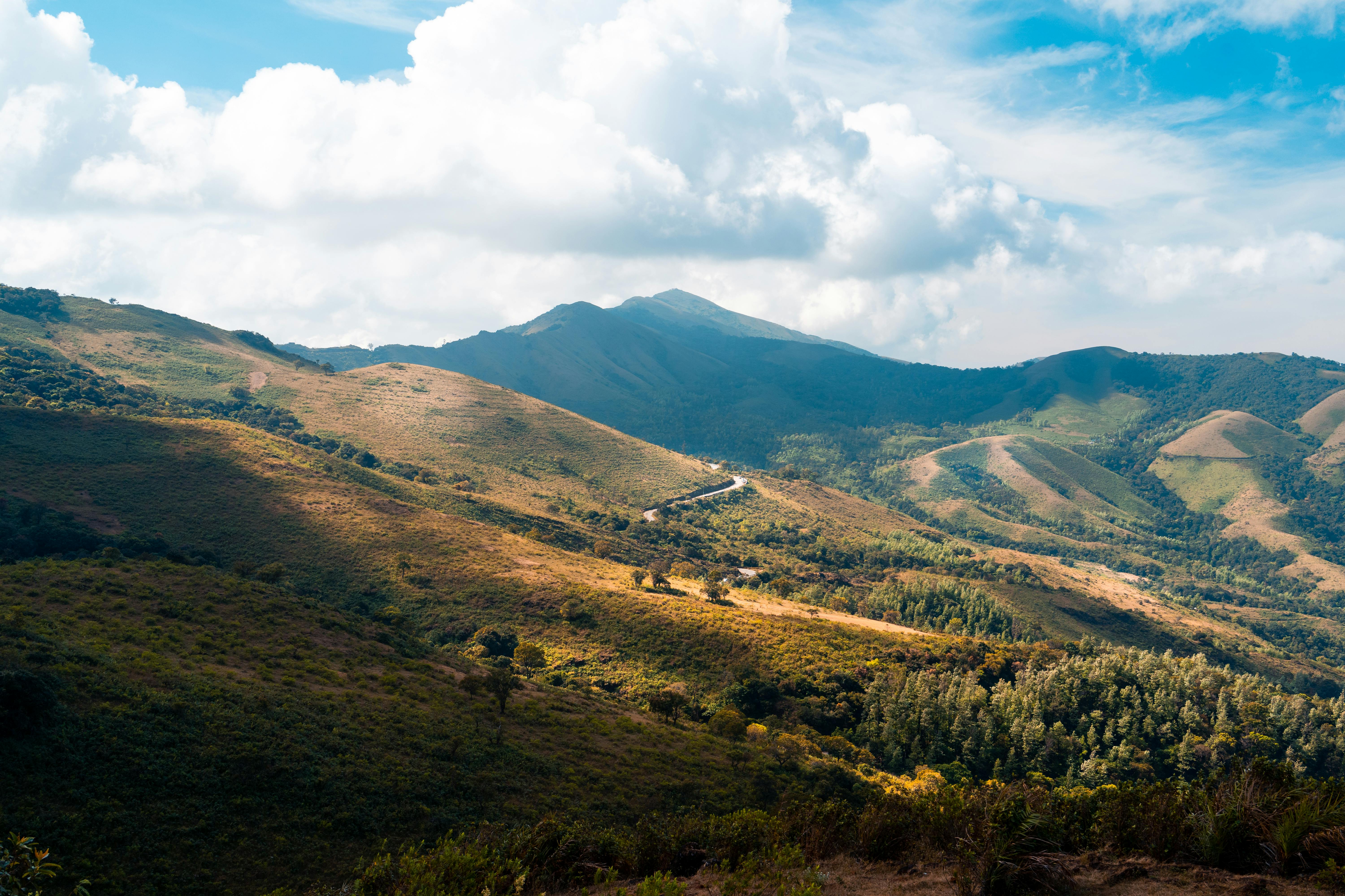 Farzi Wallpaper Photos Download The BEST Free Farzi Wallpaper Stock