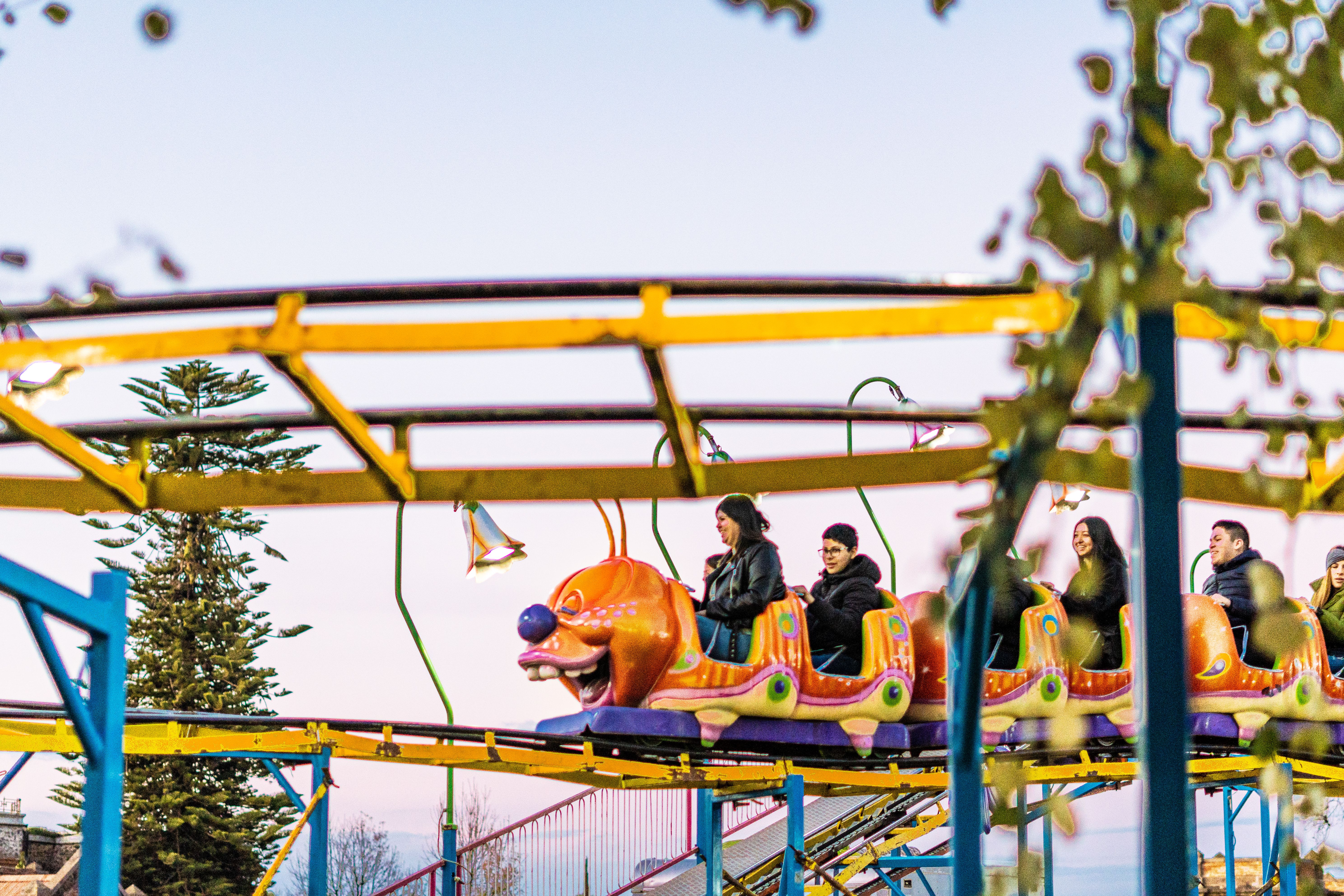Explore a Theme Park experience