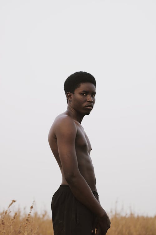 Gratis lagerfoto af afrikansk mand, bar overkrop, brunt felt