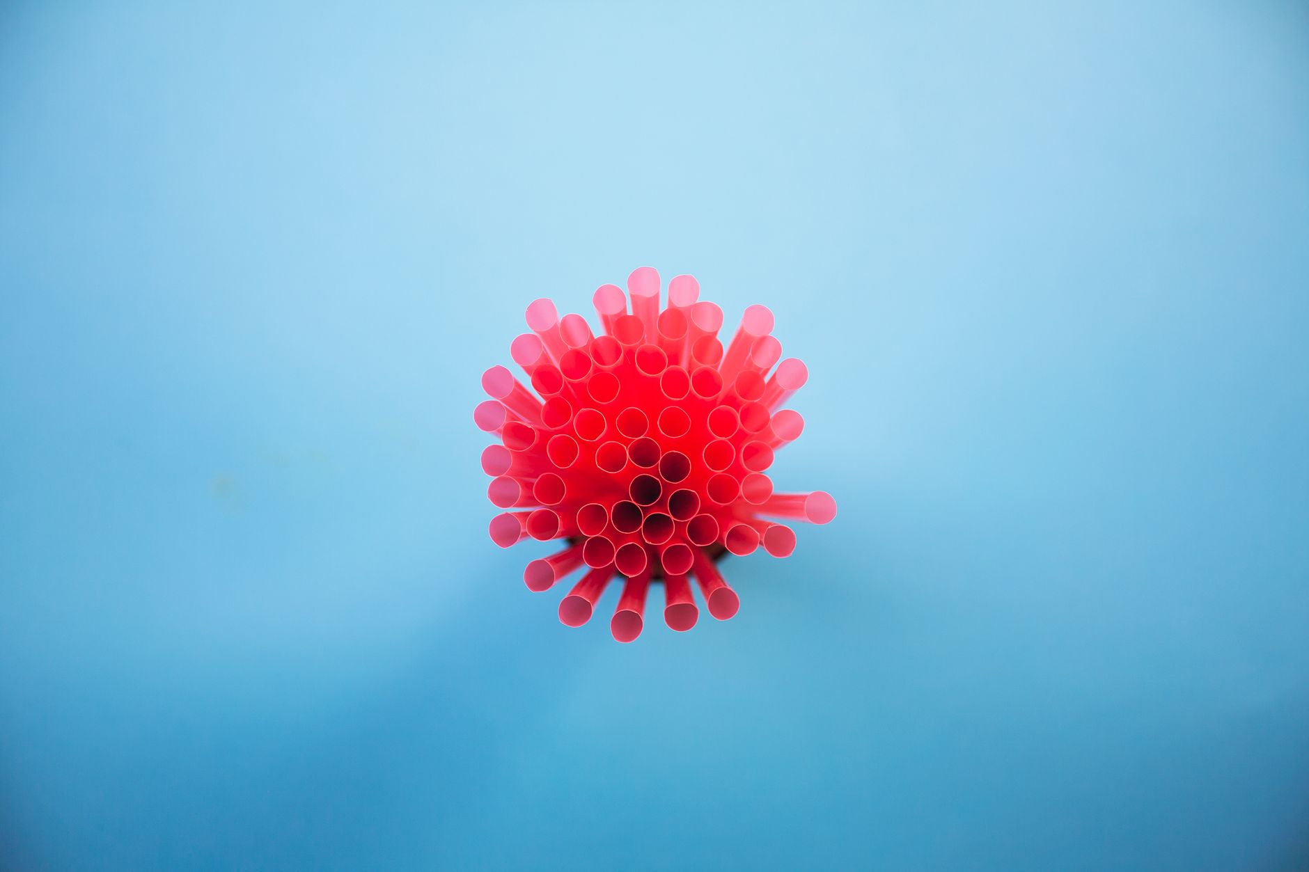 Top view of a cluster of pink plastic straws on a bright blue background