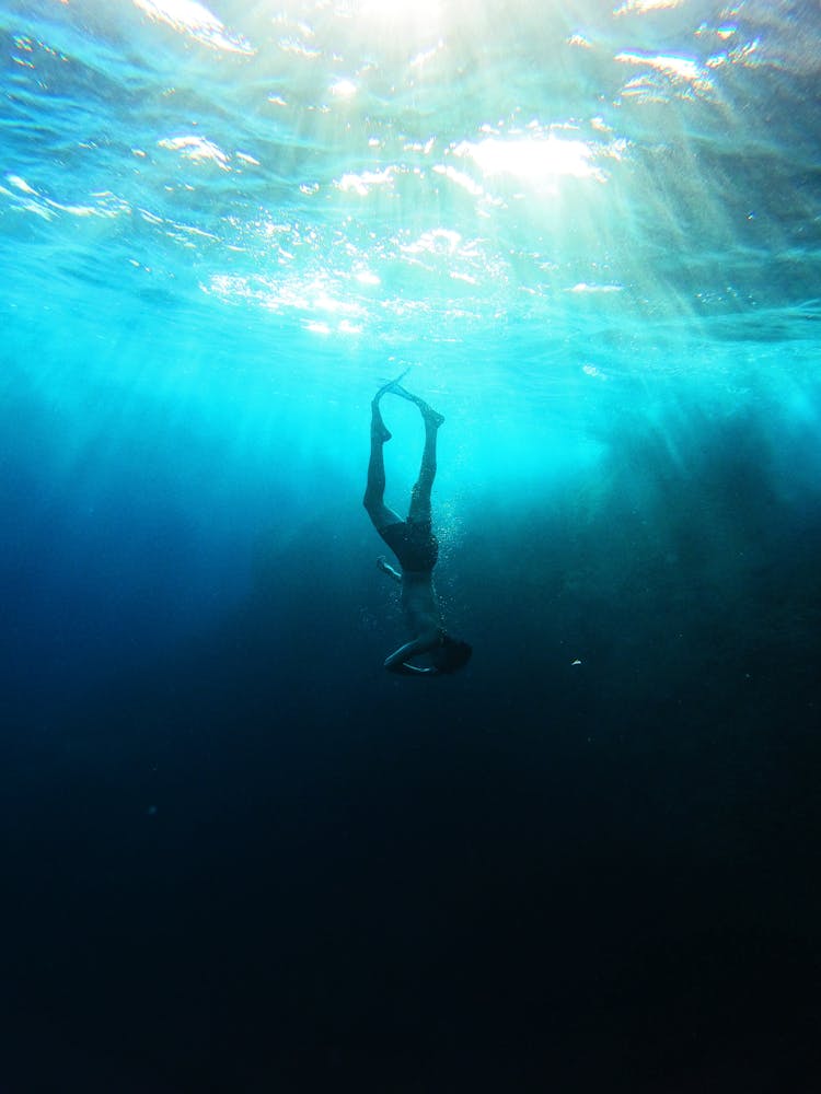 Underwater Picture Of Man Diving