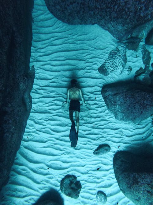 Underwater Picture of Man Diving