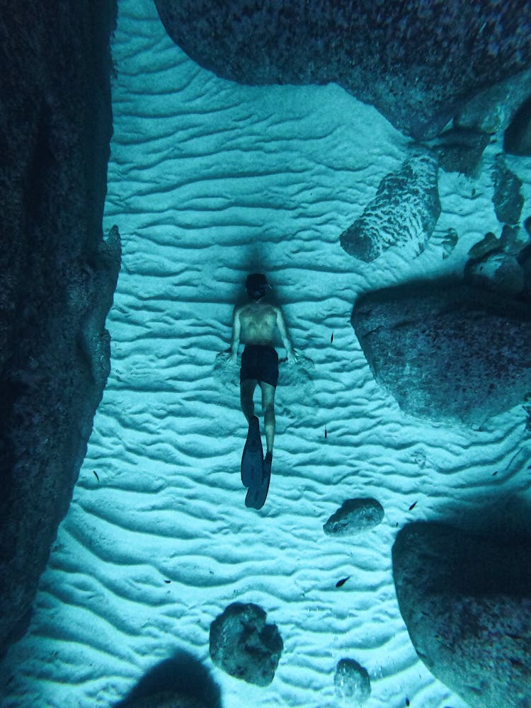 Underwater Picture Of Man Diving