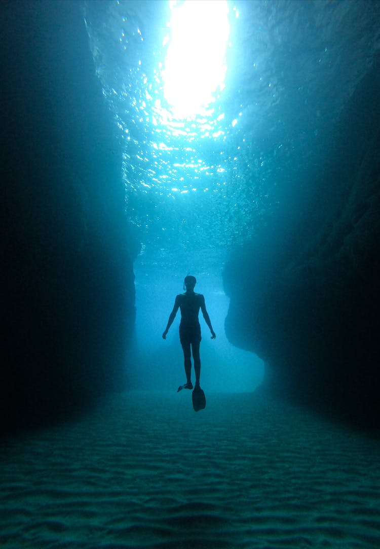 Underwater Picture Of Man Diving