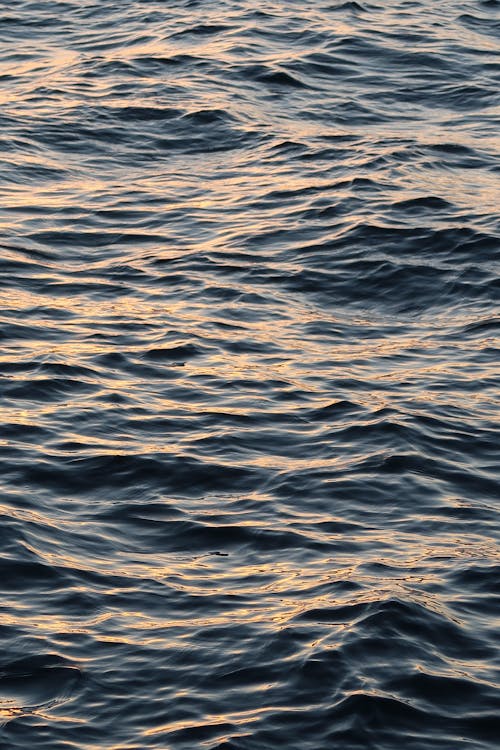 Sea Surface Texture