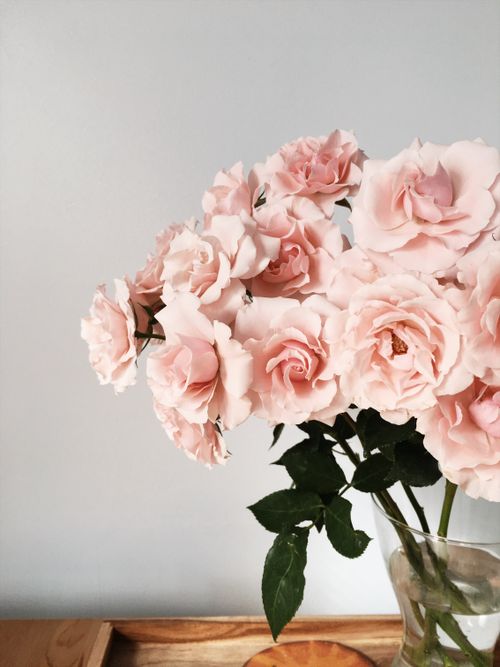 Free Beautiful bouquet of pink roses in a glass vase, showcasing elegance and natural beauty. Stock Photo