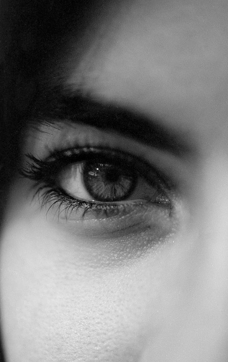 The Eye Of Woman Close-Up