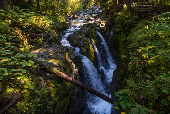 The 4-tiered Sol Duc Falls in old-growth forest, Olympic National Park