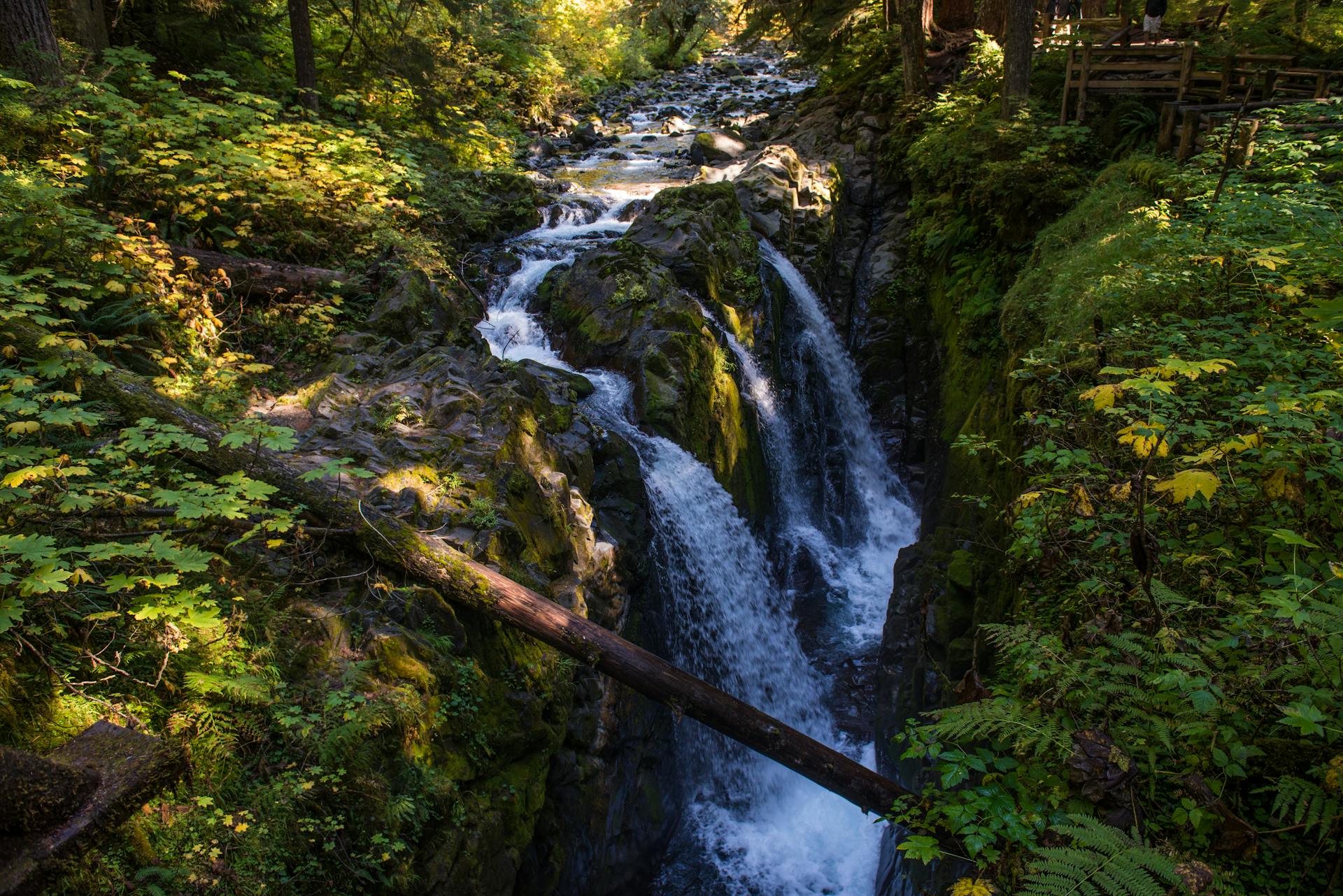 Sol Duc Falls