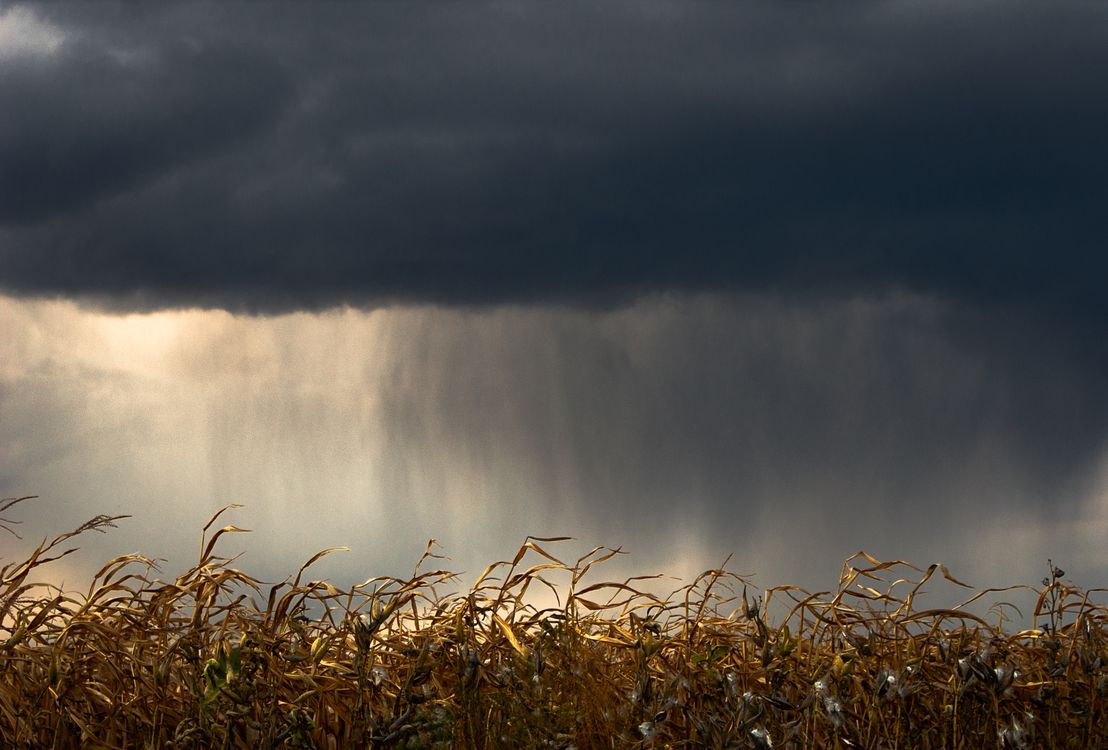 Foto De Stock Gratuita Sobre Agricultura Al Aire Libre Amenaza De foto-de-stock-gratuita-sobre-agricultura-al-aire-libre-amenaza-de