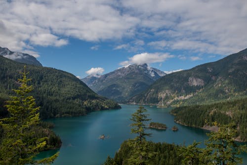 Immagine gratuita di bellezza, catena montuosa, foresta