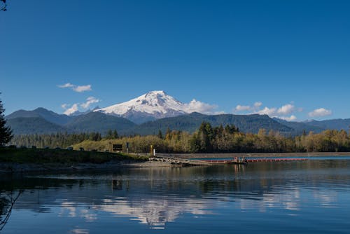 Foto d'estoc gratuïta de bosc, fons de pantalla, llac