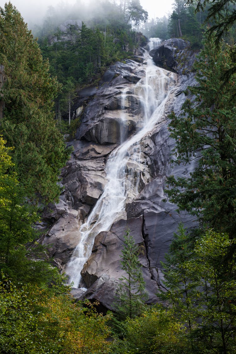 Shannon Falls