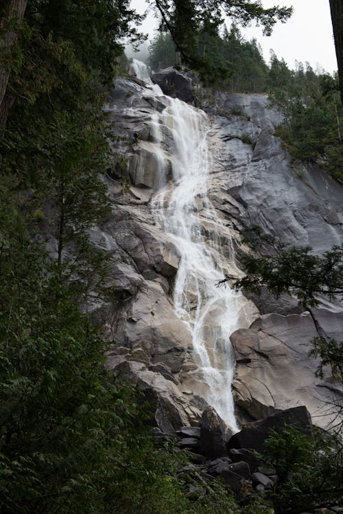 Δωρεάν στοκ φωτογραφιών με rock, shannon falls park, βουνό