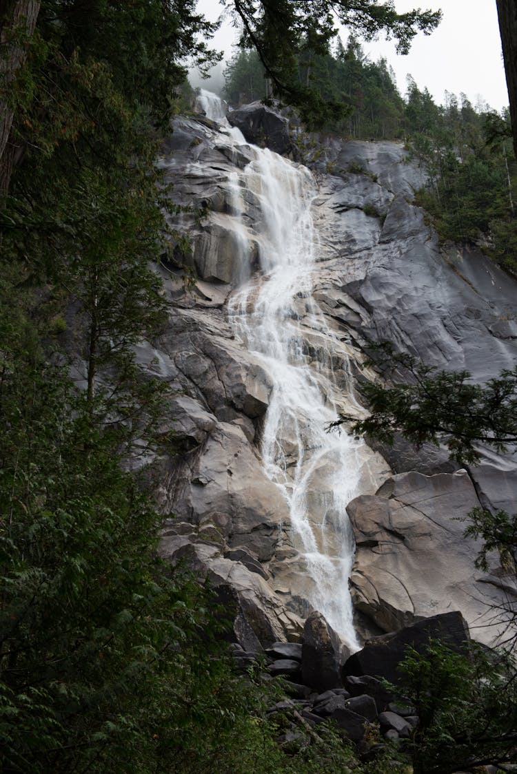 Shannon Falls