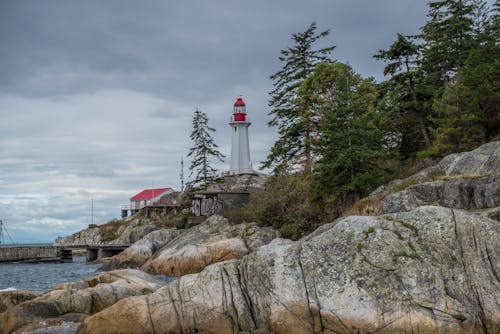Lighthouse Park in West Vancouver