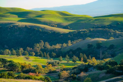Free A serene landscape of rolling green hills and dense forests, capturing nature's beauty. Stock Photo