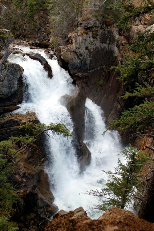 Free Majestic waterfall cascading through rocky terrain in Spillimacheen, British Columbia. Stock Photo