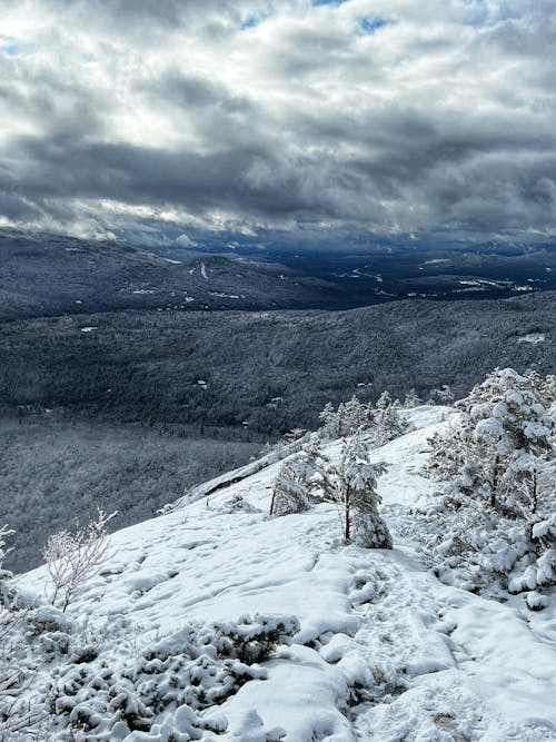 Rolling Landscape in Winter 