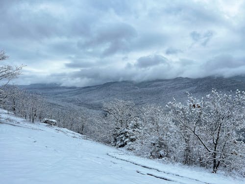 Immagine gratuita di alberi, cielo coperto, colline