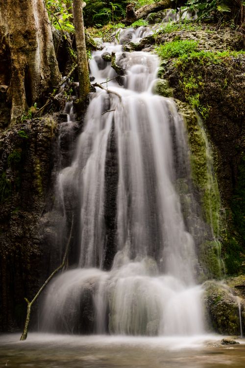 Free Gentle waterfall cascading in a serene rainforest setting with lush greenery. Stock Photo