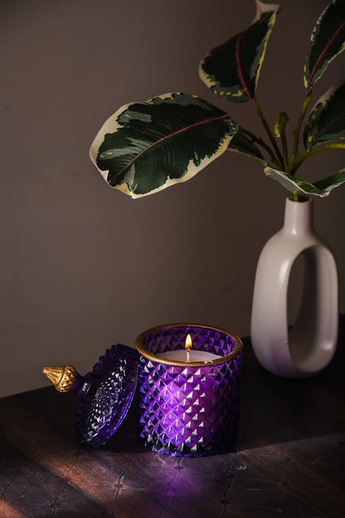 A Burning Candle Standing next to a Vase with a Plant 
