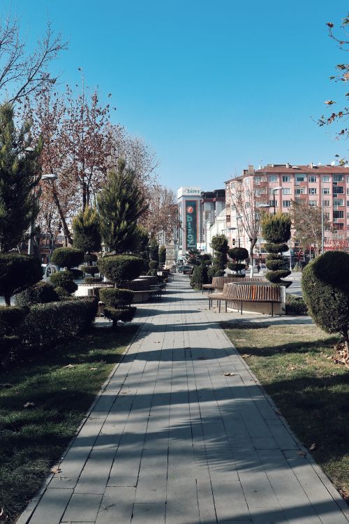 Free Urban walkway lined with trees and buildings under a clear blue sky in Malatya, Turkey. Stock Photo