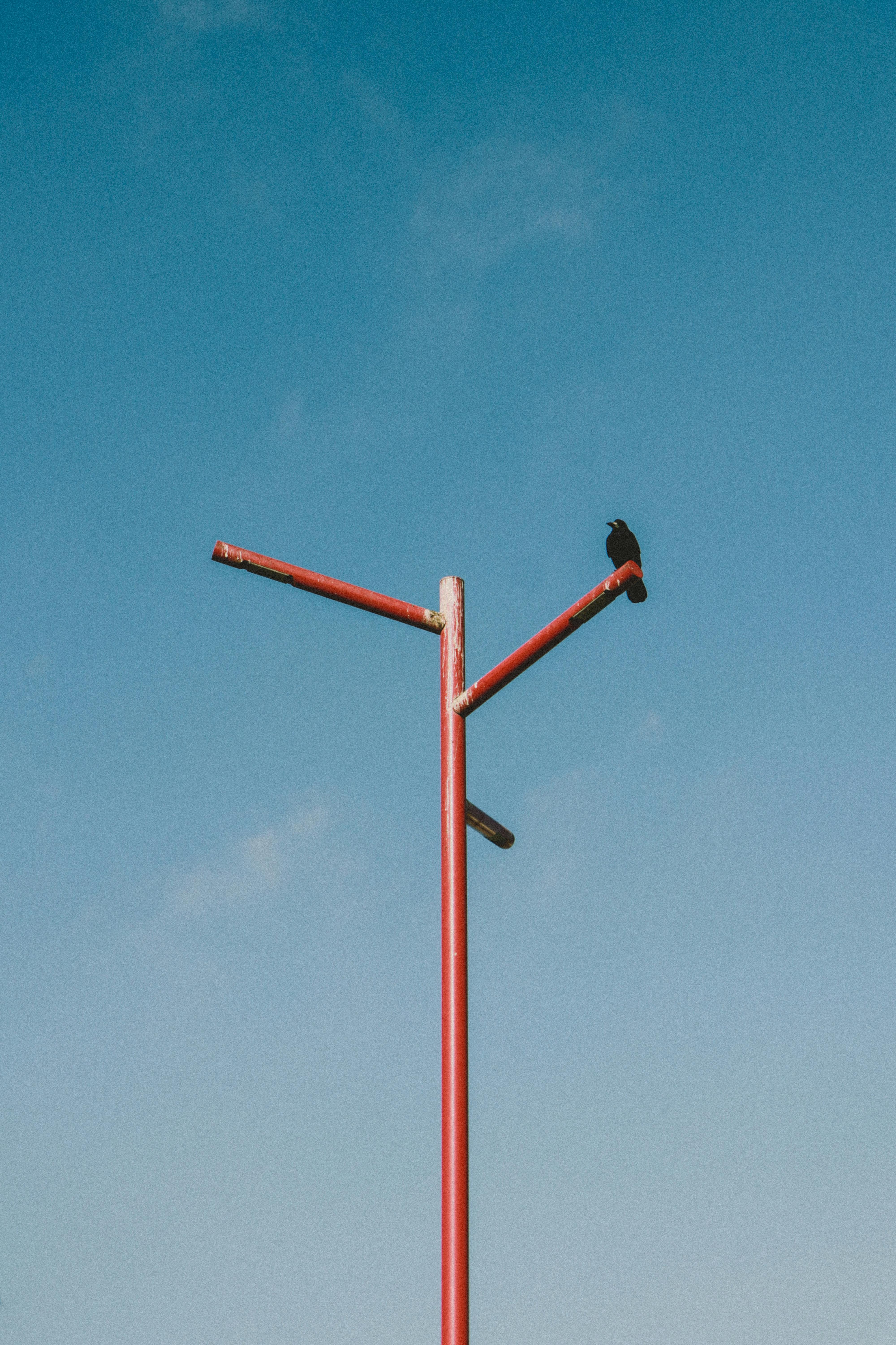 A lone crow sits atop a red metal post against a clear blue sky.