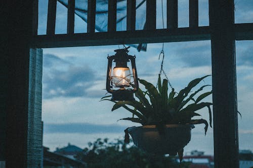 A Lamp and a Plant in a Window 