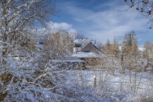 ICEE, 冬季, 冬季景觀 的 免费素材图片