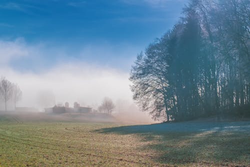 Fog over Field and Forest
