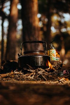 Warm campfire with an iron kettle in the forest evokes a cozy outdoor adventure.