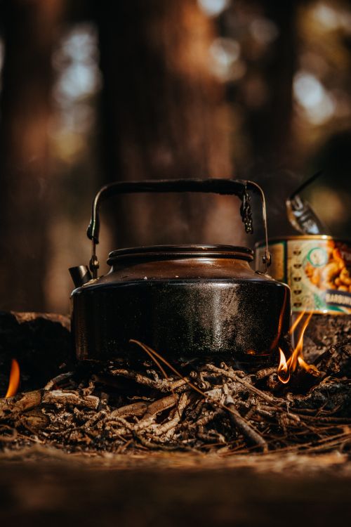 Free A metal kettle on a campfire in a forest, creating a cozy outdoor atmosphere. Stock Photo