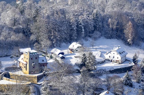 Village in Forest in Winter