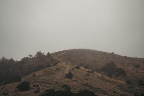 Imagine de stoc gratuită din acoperit de nori, ceață, deal