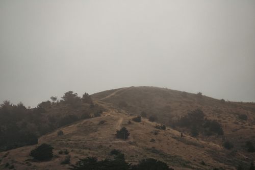 Free A fog-covered hill landscape creates a serene and mysterious atmosphere. Stock Photo