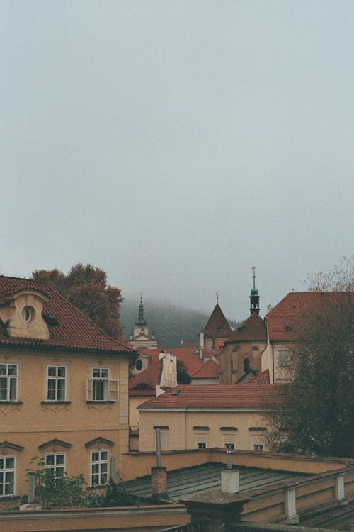 Foto profissional grátis de árvores, cidade, cidades