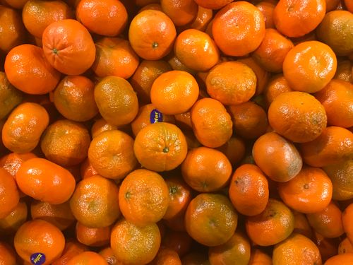 Free stock photo of aerial photo, art gallery, bowl of fruit Stock Photo