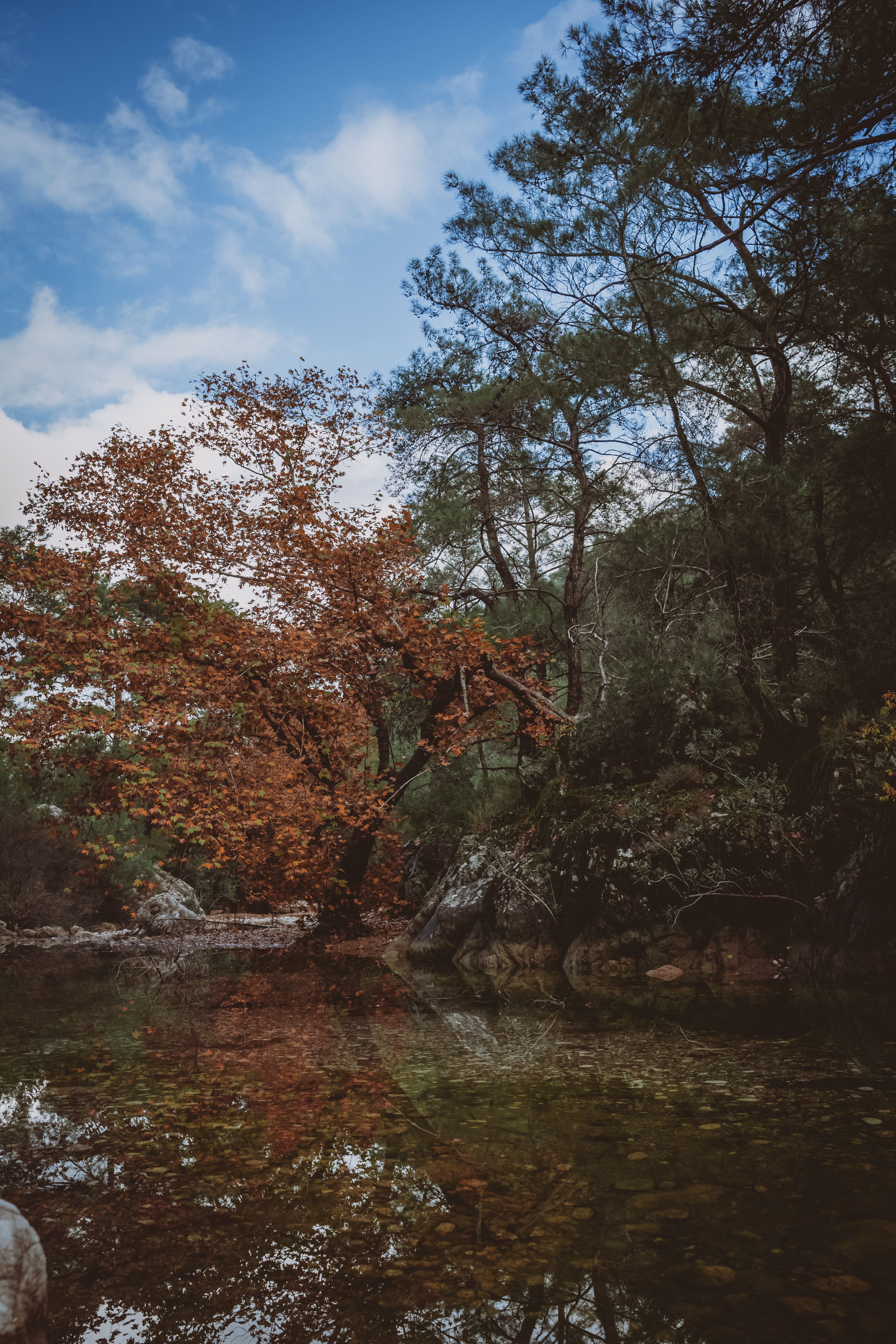 Colorful Trees and a River in Autumn · Free Stock Photo