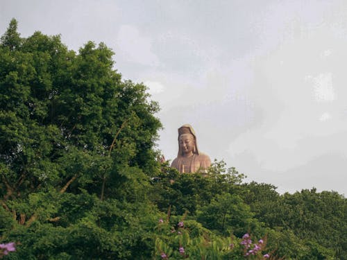 Foto stok gratis agama, Agama Buddha, estàtua budista