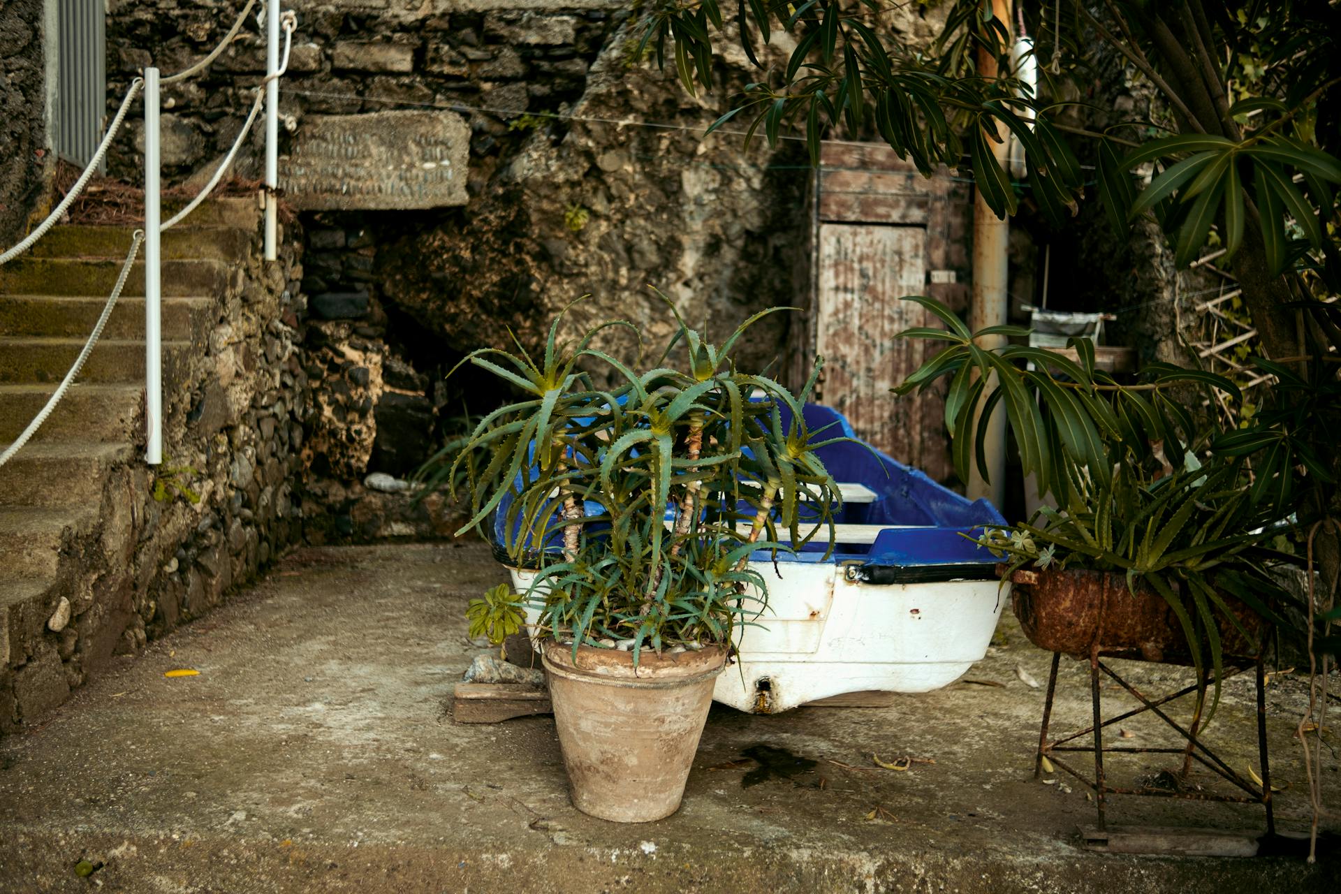 Boat in Yard