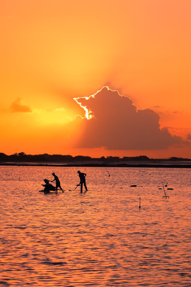 Workers During The Golden Hour