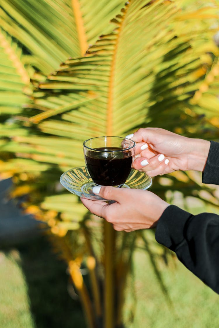 Woman Holding Cup Of Coffee In Tropical Landscape