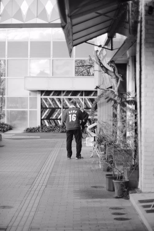 Free Grayscale of People on the Street Near Potted Plants Stock Photo