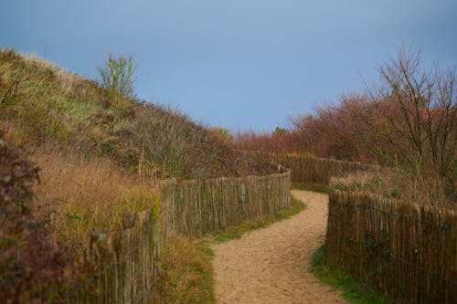 Free Walk in coastal nature reserve Stock Photo