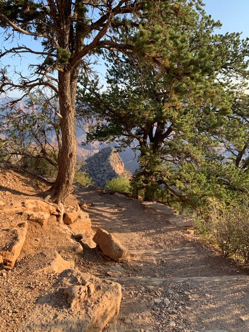 Walk a Desert Woodland Trail things to do in palmdale