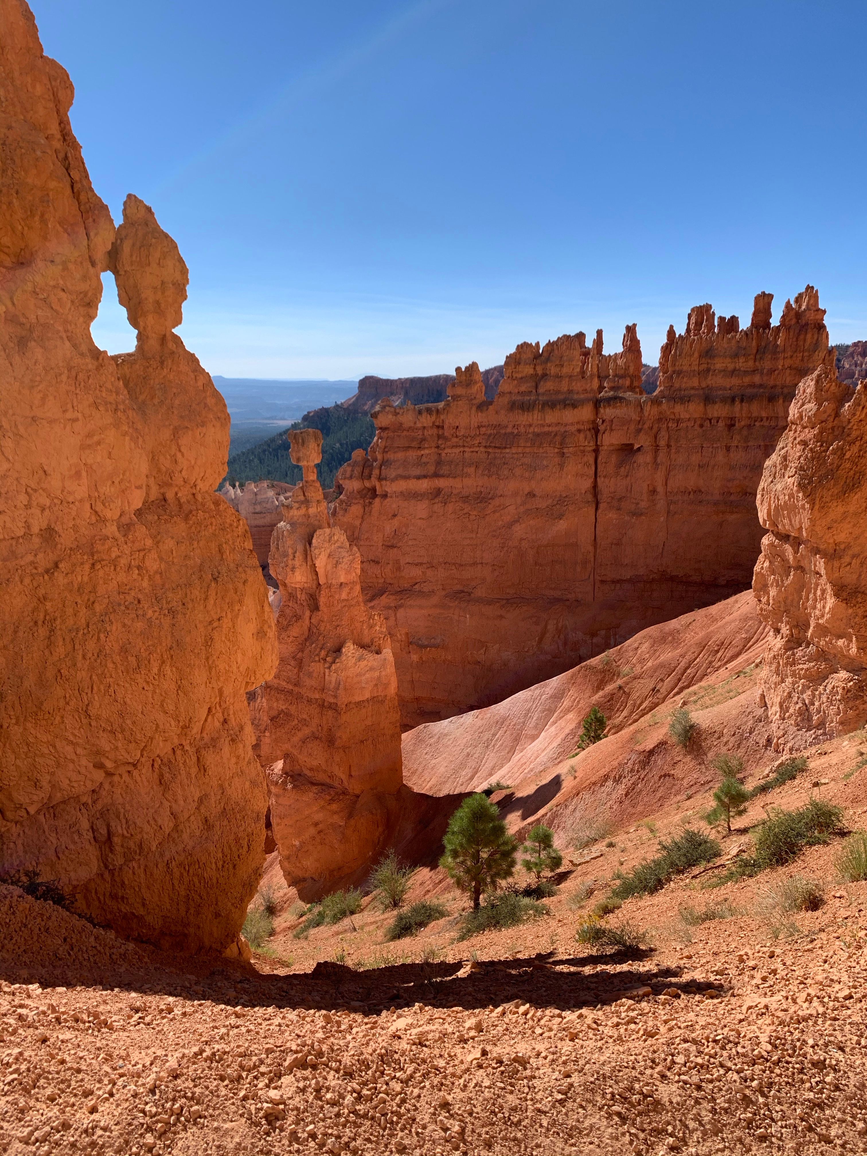 Gratis lagerfoto af amerikansk sydvest, Bryce canyon, bryce canyon nationalpark Lagerfoto