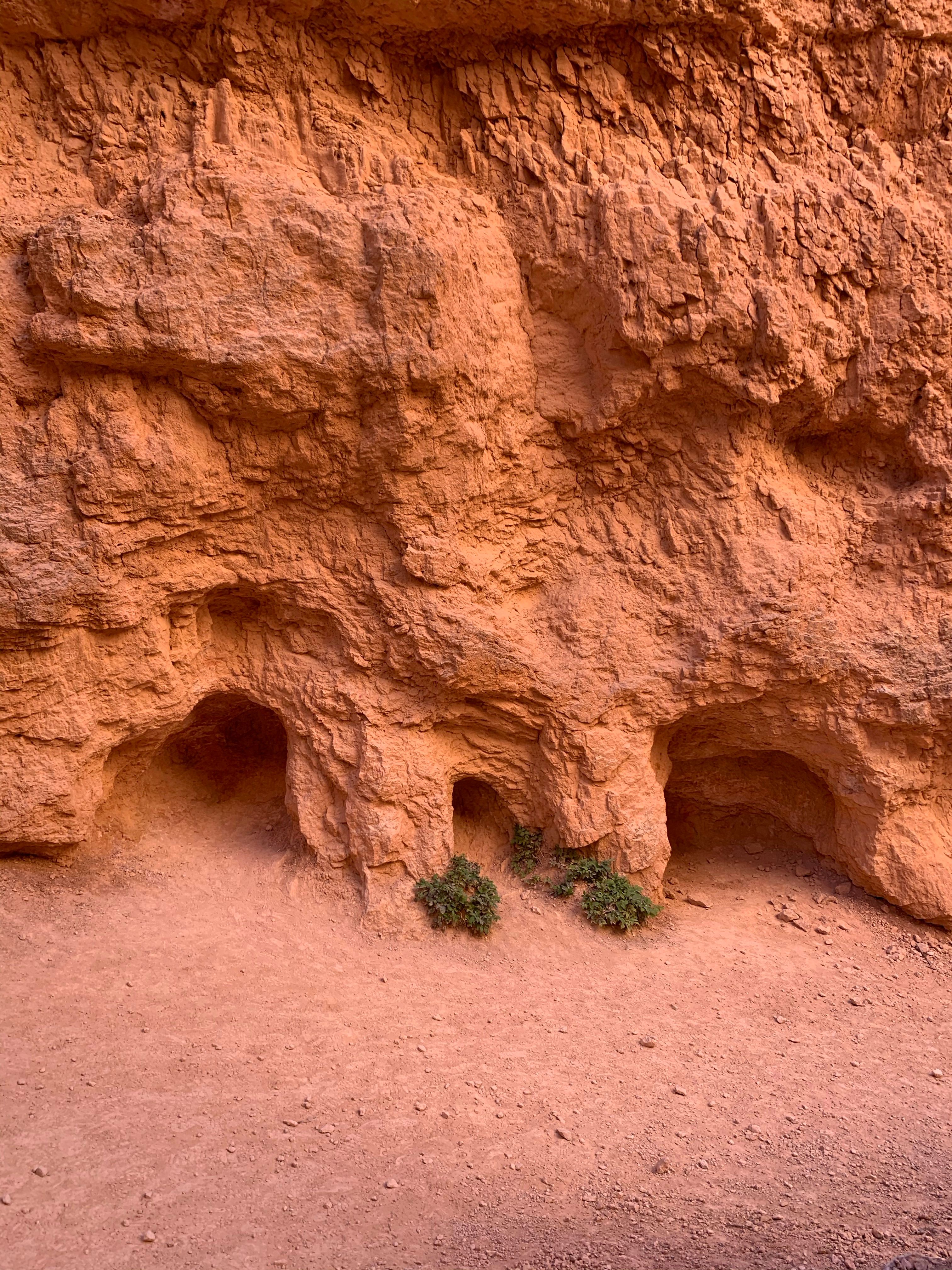 texture-of-eroded-sandstone-free-stock-photo
