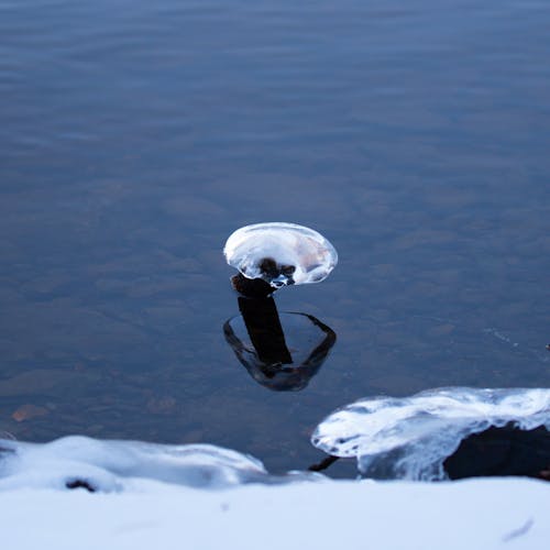 Darmowe zdjęcie z galerii z lakeshore, lód, mrożony