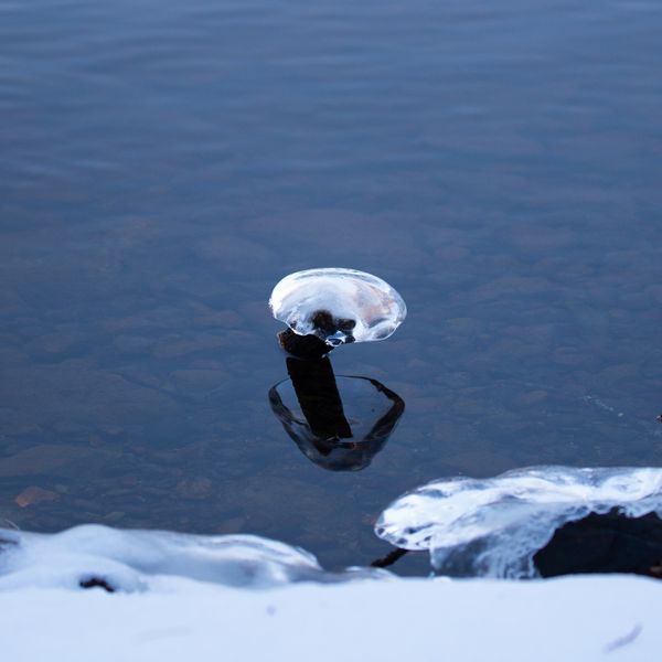Sheet of ice on the edge of a cold winter lake — photo by Morten Raade on Pexels